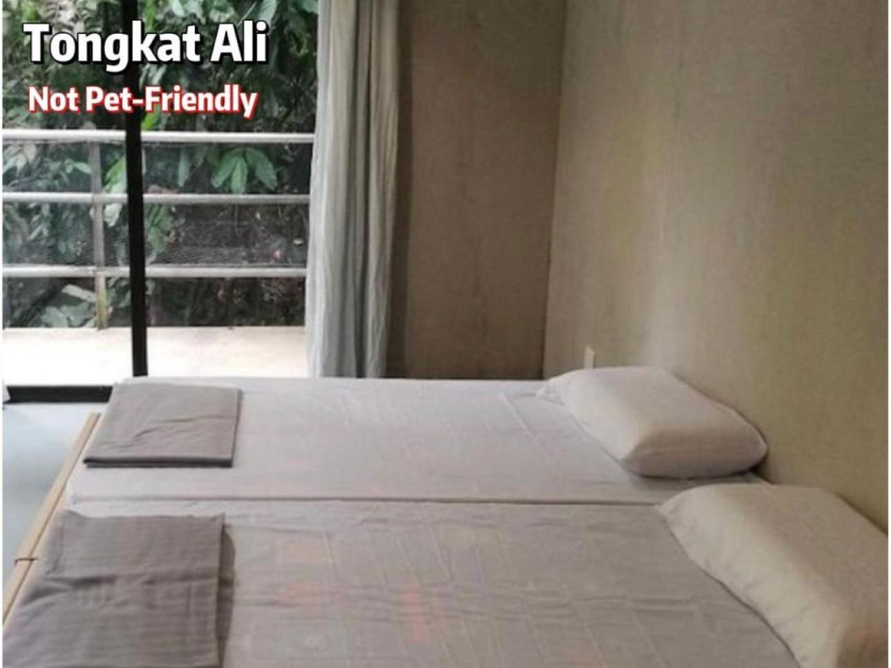 Hotel Gibbon Retreat Bentong Exterior foto