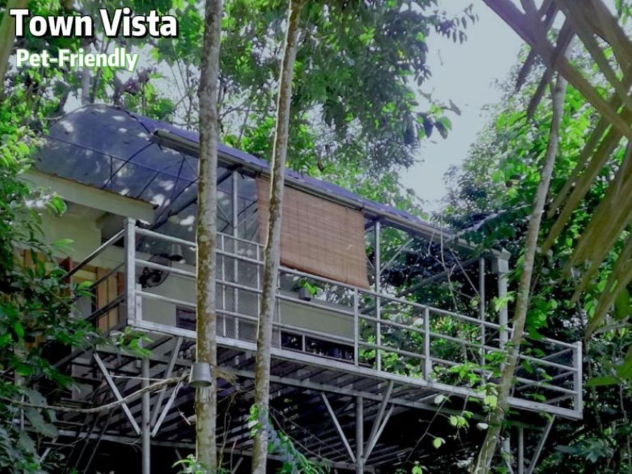 Hotel Gibbon Retreat Bentong Exterior foto