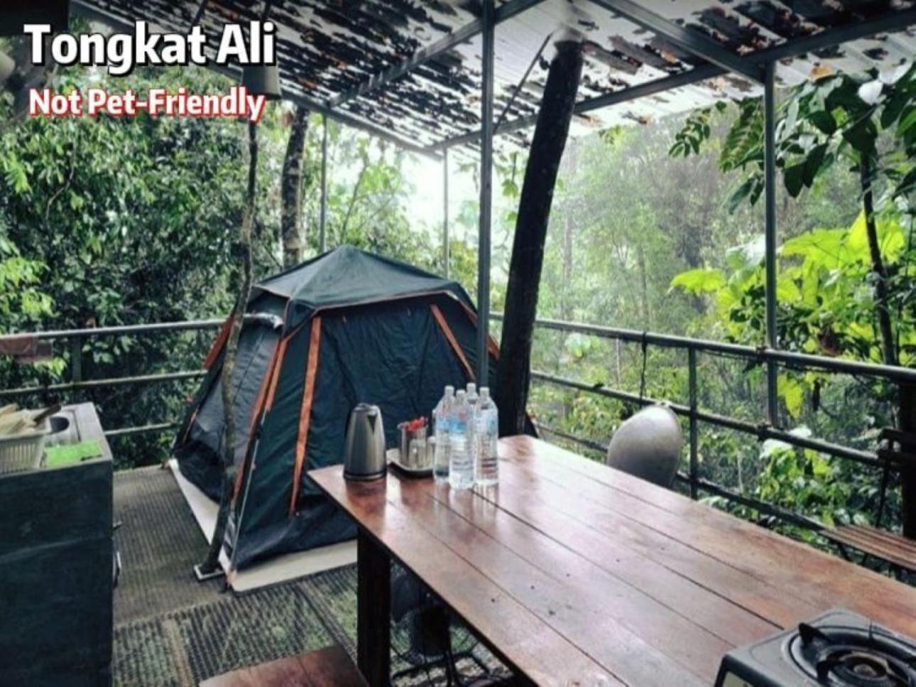 Hotel Gibbon Retreat Bentong Exterior foto