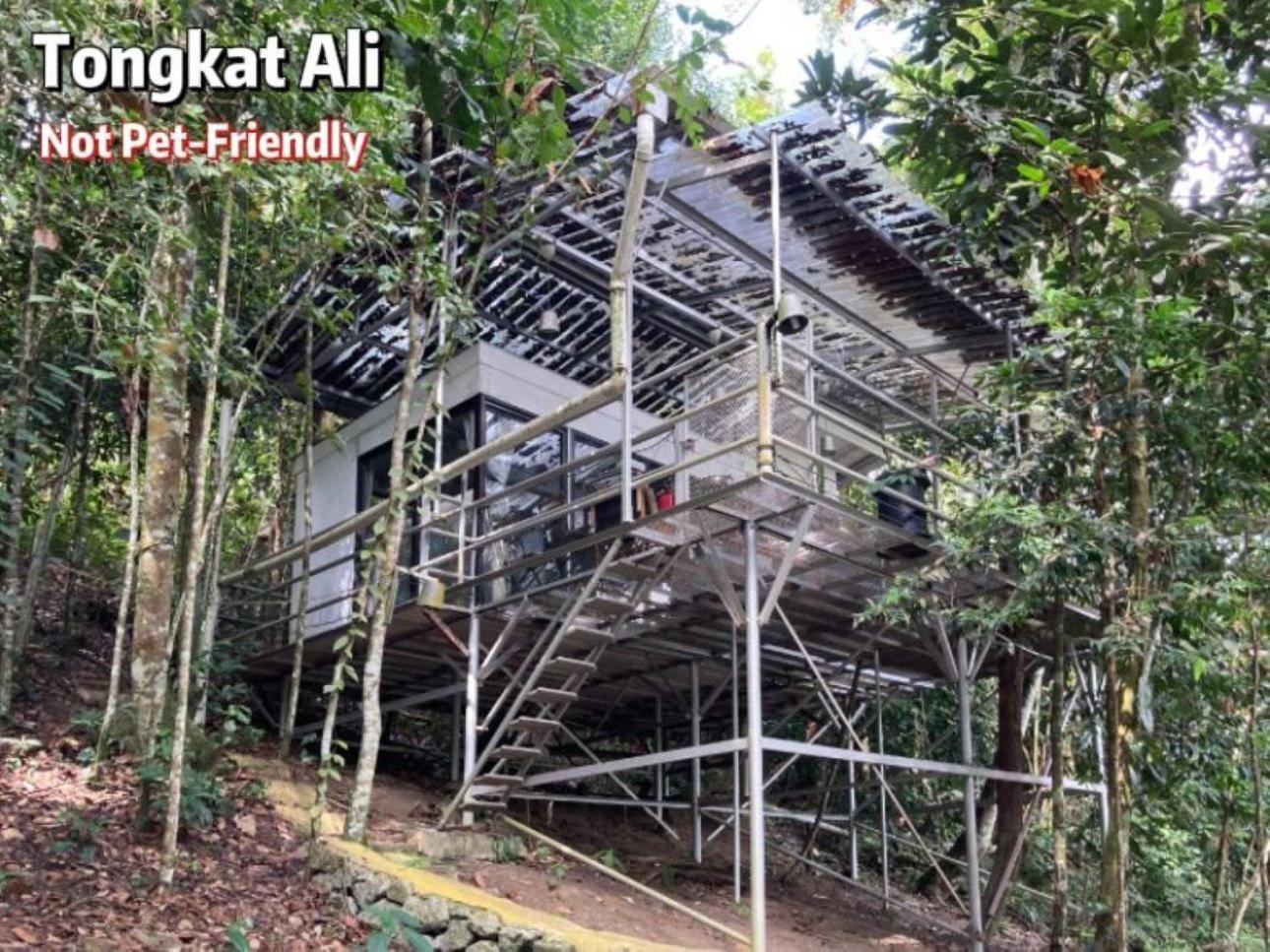 Hotel Gibbon Retreat Bentong Exterior foto