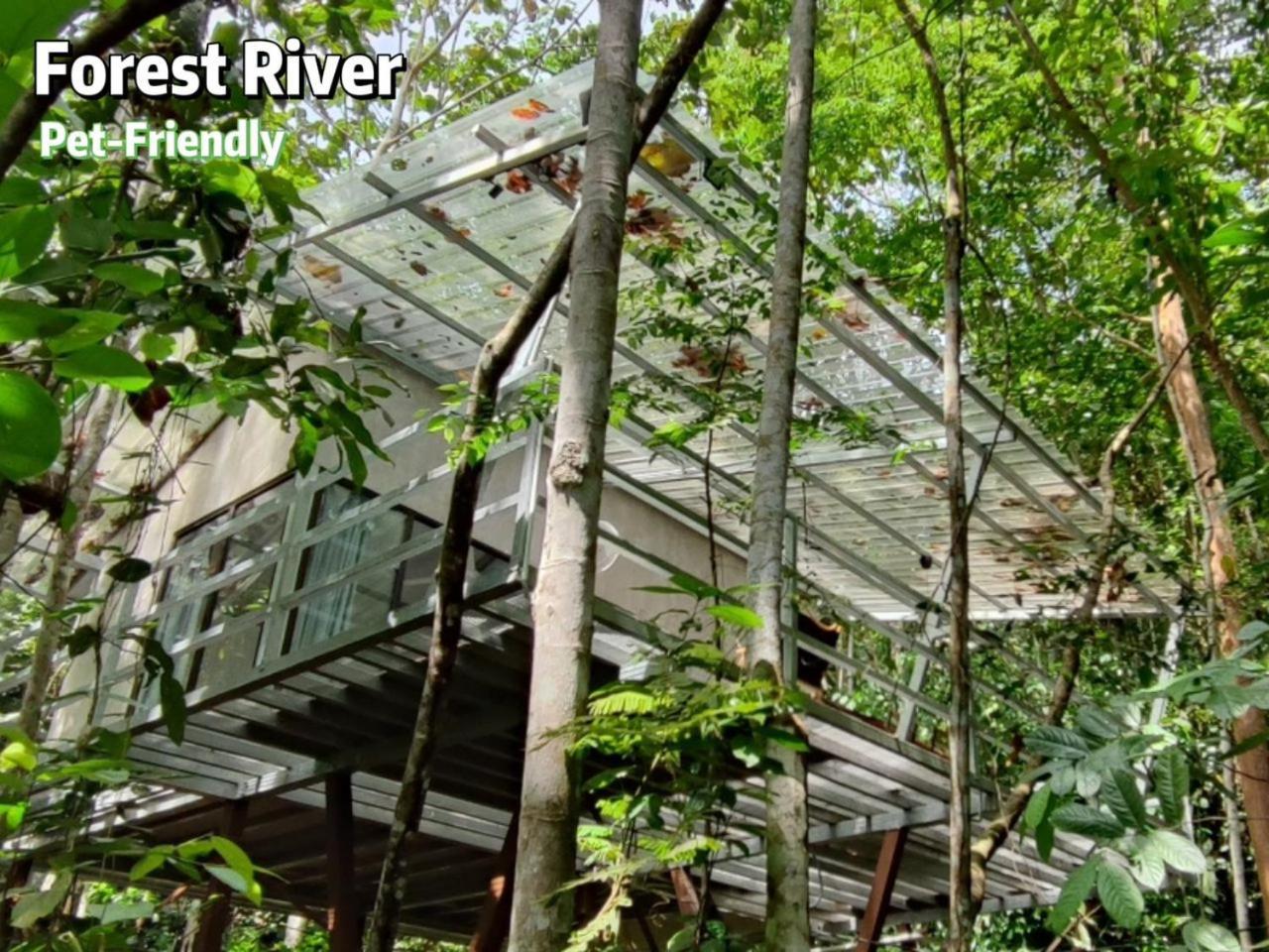 Hotel Gibbon Retreat Bentong Exterior foto